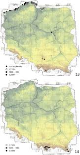 Attēlu rezultāti vaicājumam “Aegialia arenaria”