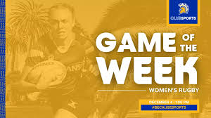 Image result for Rugby Ladies Badminton Club