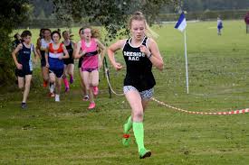 Image result for Deeside Aac