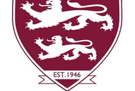 Image result for Hamworthy United Football Club