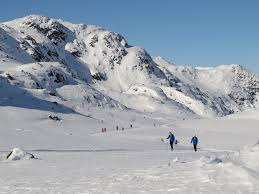 Image result for Tyneside Loipers