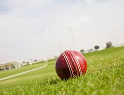 Image result for West Herts Cricket Club