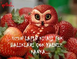 Resim