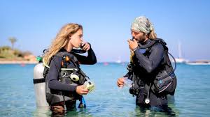 Image result for Seabug Divers