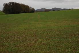 Image result for Powick Bowling Club