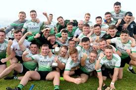 Image result for Patrick Sarsfield Gaelic Athletic Club