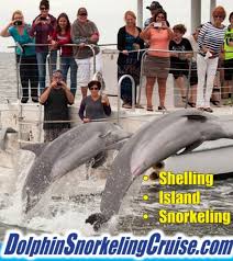 Image result for Belfairs Dolphins Snorkelling Club