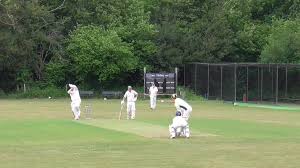 Image result for Balcombe Stoolball Club