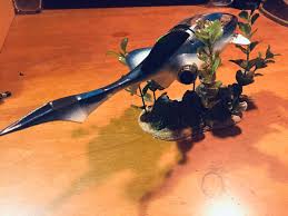 Image result for seaquest stinger