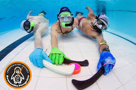 Image result for York Octopush Club