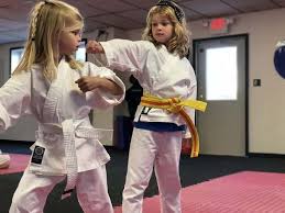 Image result for Hetton and Murton Karate Academy