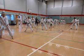Image result for Taunton Karate academy