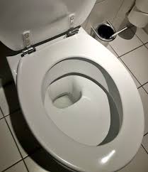 Image result for german toilet