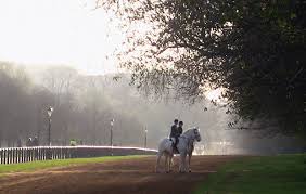 Image result for Civil Service Riding Club (Csrc)