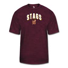 Image result for Southampton Stags