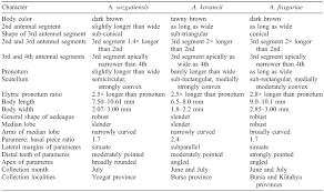 Attēlu rezultāti vaicājumam “Athous sp.”