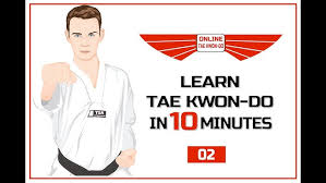 Image result for Dujon Tae Kwon Do
