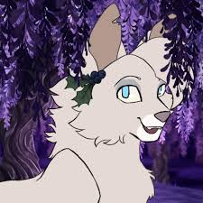 Image result for Warrior Orienteering Club