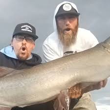 Image result for Esox masquinongy