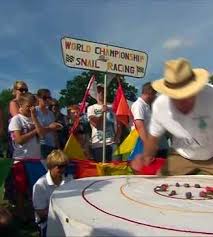 Image result for World Snail Racing Championships