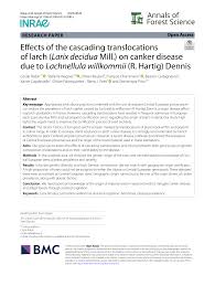 Attēlu rezultāti vaicājumam “Lachnellula willkommii”
