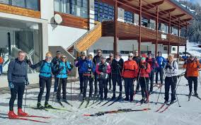 Image result for Tyneside Loipers