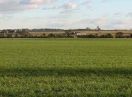 Image result for Nunwick Cc