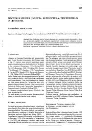 Attēlu rezultāti vaicājumam “Tischeria complanella larva”