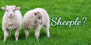 Image result for sheeple