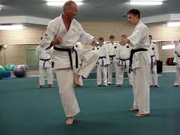 Image result for Independent Wadoryu Karate Federation