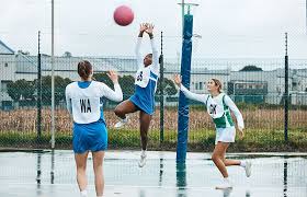 Image result for Fenton Manor Netball Club