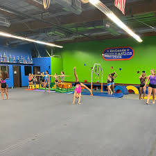 Image result for Aerodyne Gymnastics Club