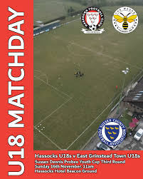 Image result for Hassocks Ladies FC