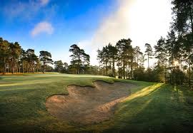 Image result for Blackmoor Golf Club