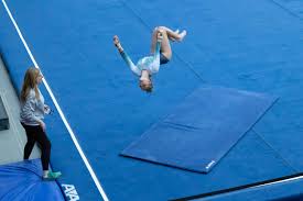 Image result for Crossways Gymnastics Club
