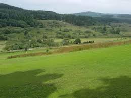 Image result for Lochgilphead Golf Club