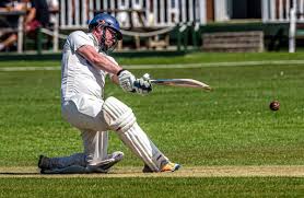 Image result for Wolviston Cricket Club