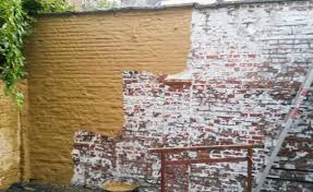 Image result for kaleien