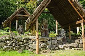 Attēlu rezultāti vaicājumam “Aranei exuvia”