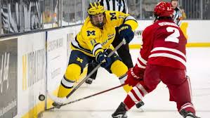 Image result for Blackburn Northern Hockey Club