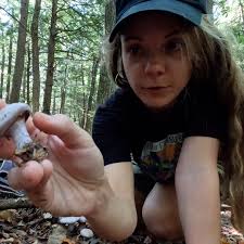 Attēlu rezultāti vaicājumam “Neocudoniella albiceps”