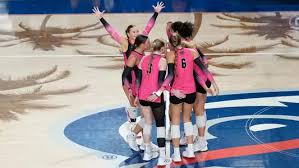 Image result for Ellesmere Port Eels Volleyball Club