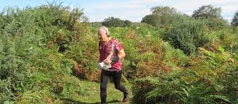 Image result for Wimbourne Orienteers
