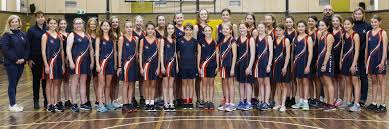 Image result for Finchampstead Netball Club