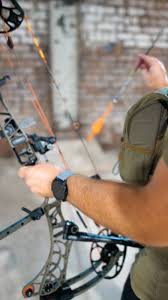 Image result for Clyde Arrows Archery Club