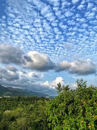 Attēlu rezultāti vaicājumam “altocumulus”