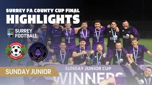 Image result for Oxted & District Junior Fc