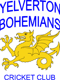 Image result for Yelverton Bohemians Cricket Club