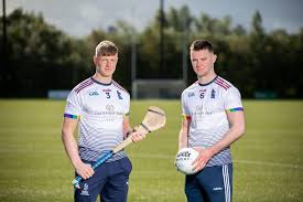 Image result for University Of Limerick Gaa Hurling Club