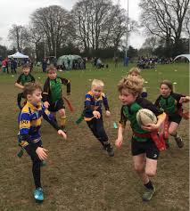 Image result for Haslemere Rugby Football Club
